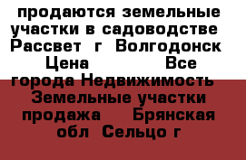 продаются земельные участки в садоводстве “Рассвет“ г. Волгодонск › Цена ­ 80 000 - Все города Недвижимость » Земельные участки продажа   . Брянская обл.,Сельцо г.